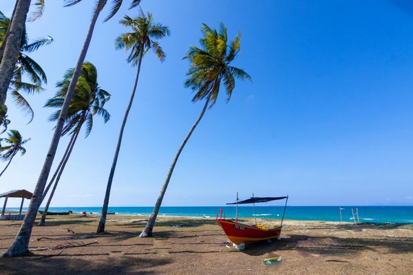 Pourquoi faire des croisières dans le Golfe du Morbihan ?
